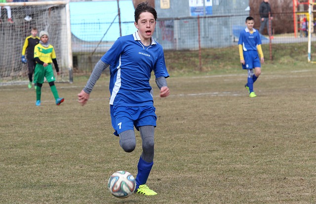 这一因素也 这一因素也