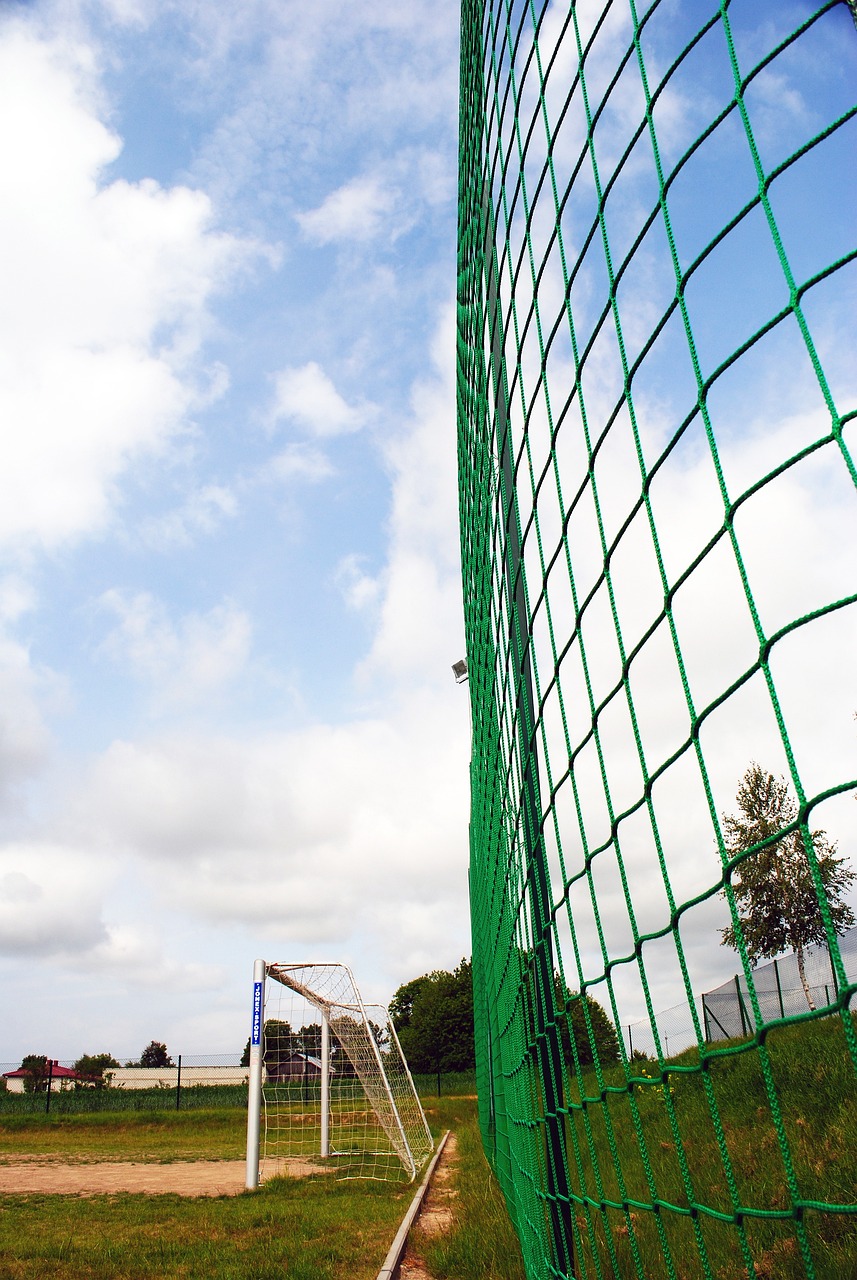 移伺机反击 移伺机反击