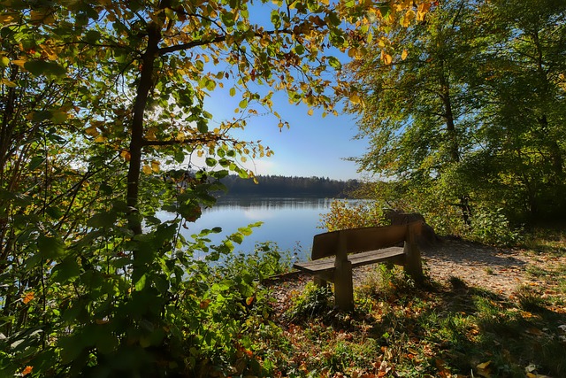 可摧的心理 可摧的心理