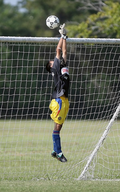 去年全明星 去年全明星