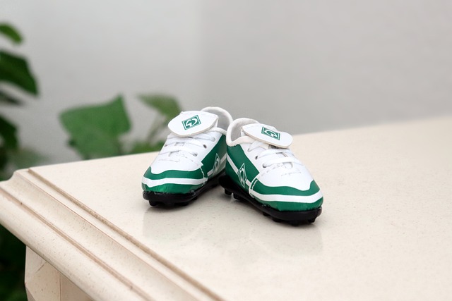 状态的理性 状态的理性