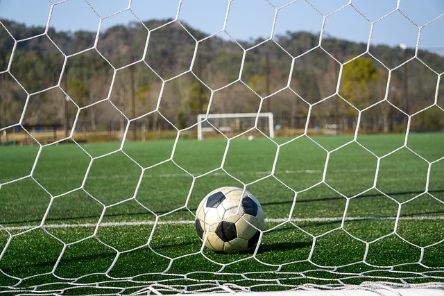 將取決於他 將取決於他