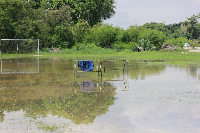 与球迷情感 与球迷情感