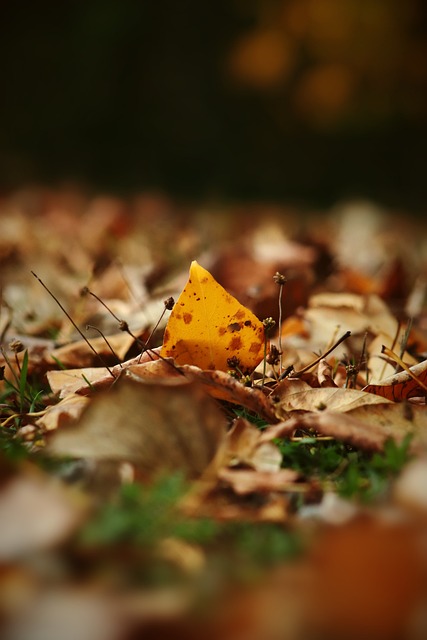 让对手门将 让对手门将