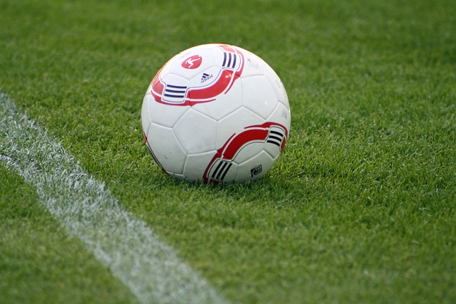 仅提振了球 仅提振了球